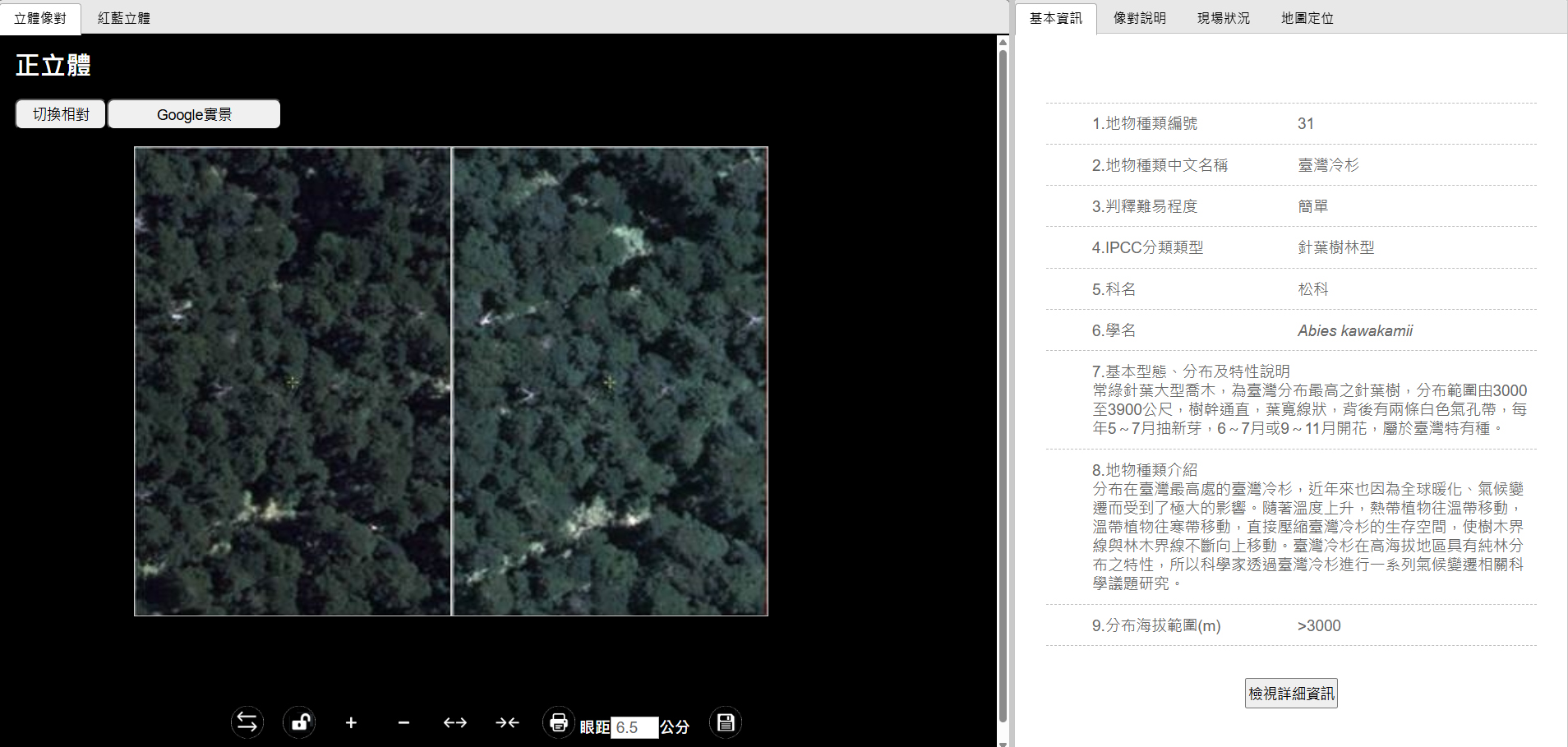 臺灣冷杉立體像對