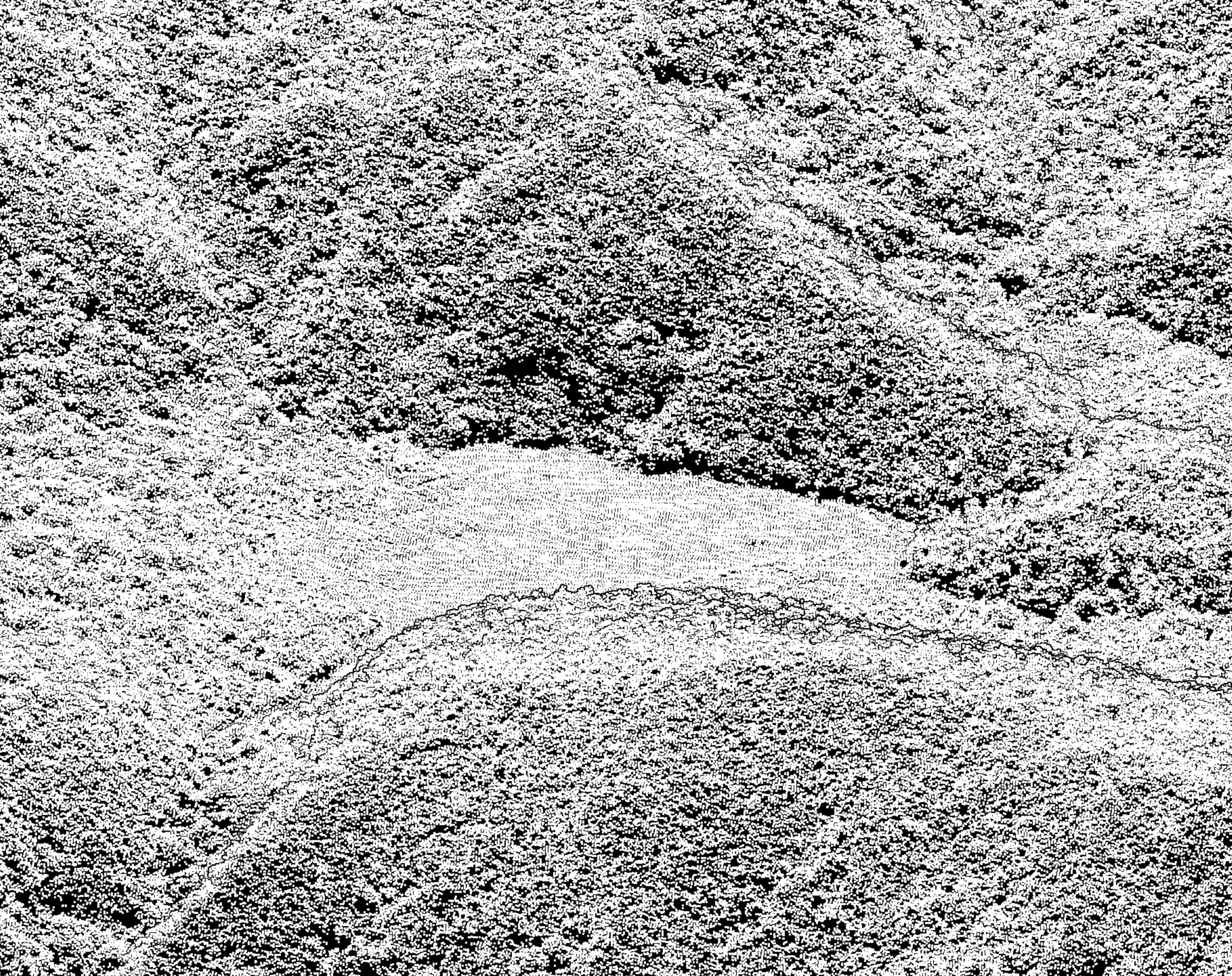 未分類點雲(俯視)