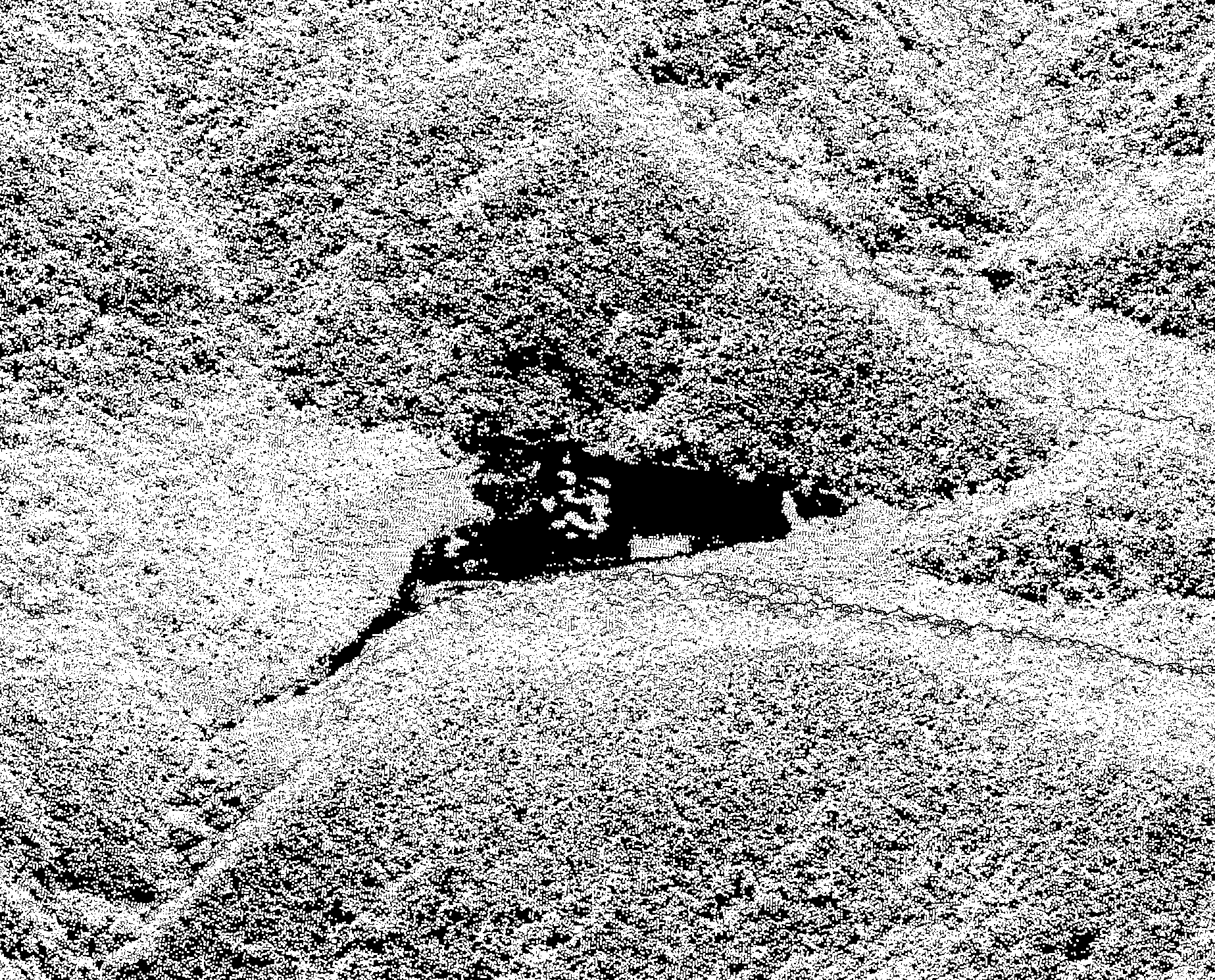 未分類點雲(俯視)