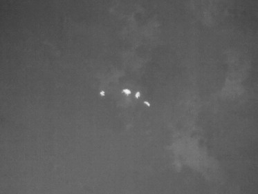 無人機熱影像拍攝梅花鹿