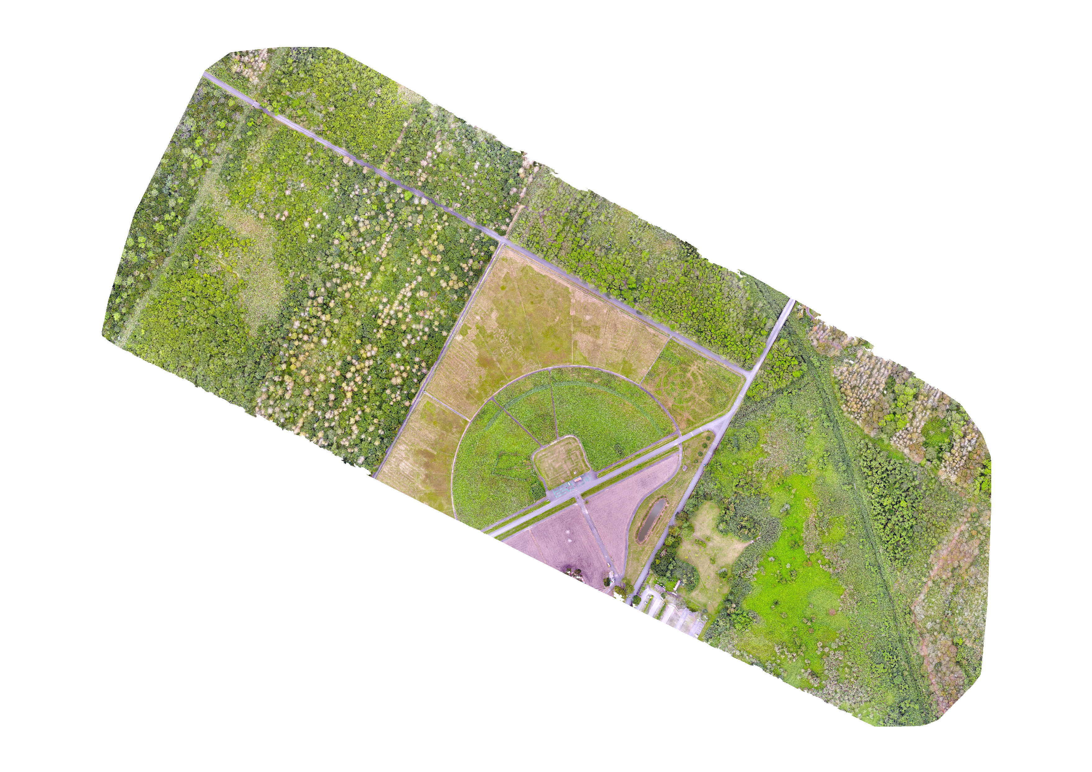 花蓮光復大農大富平地森林園區無人機拍攝成果